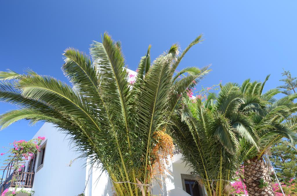 Asteri Hotel Skala  Ngoại thất bức ảnh